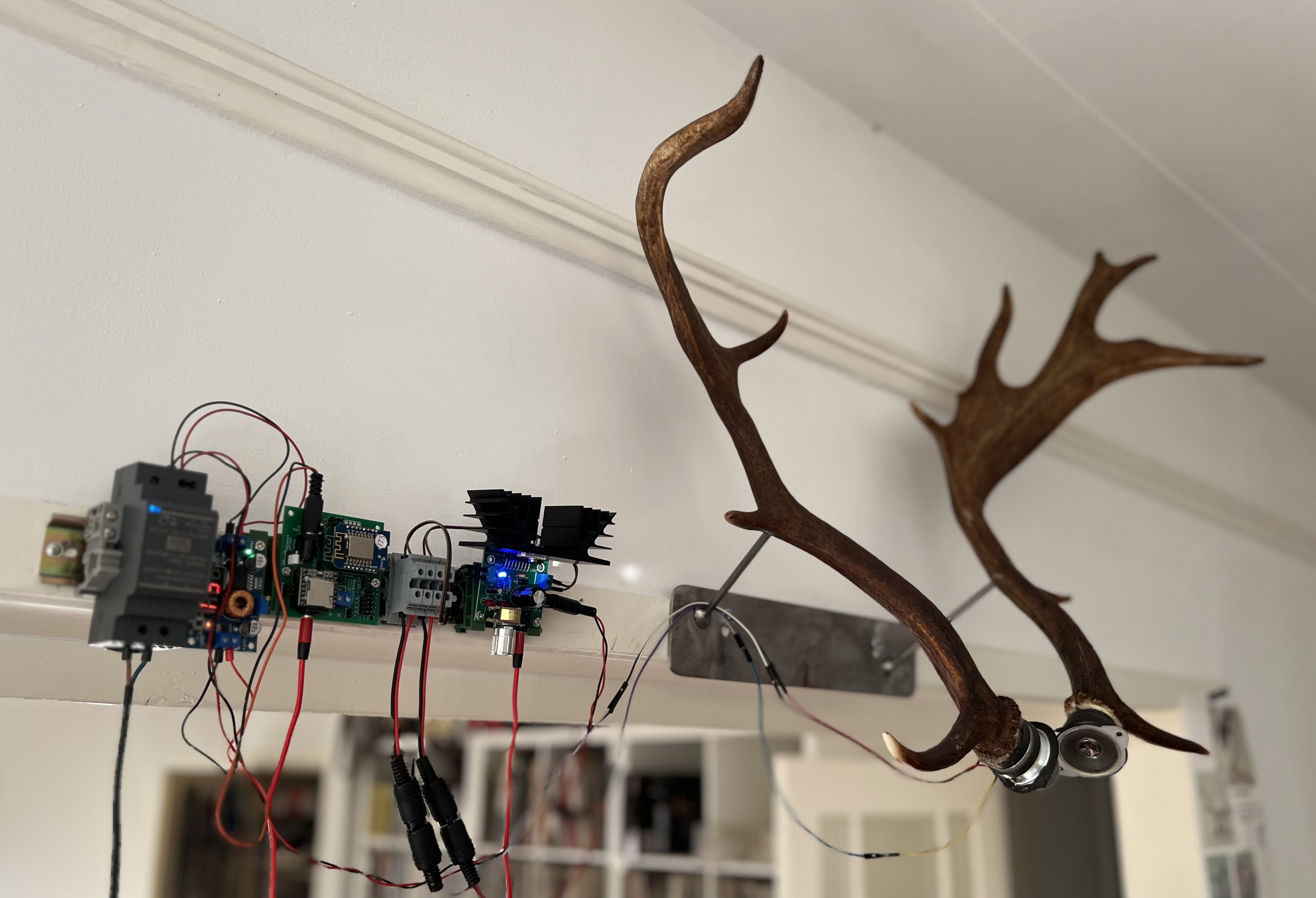 Antlertenna