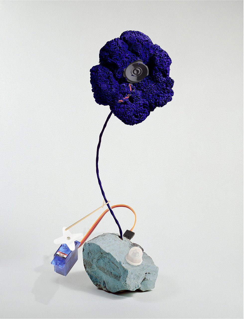 Blue-sponge